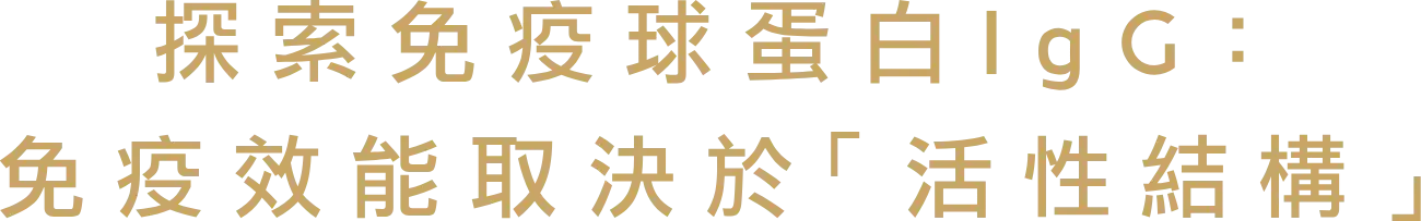 免疫球蛋白IgG的免疫效能 取決於「活性結構」